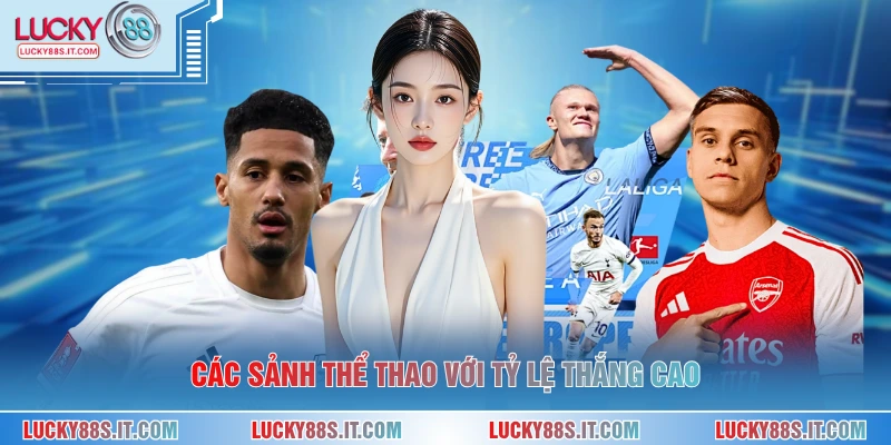 Các sảnh thể thao với tỷ lệ thắng cao