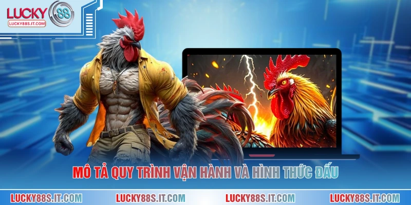 Mô tả quy trình vận hành và hình thức đấu